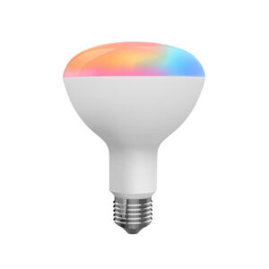 Zigbee 3.0 Smart Light Bulbs, Smart Hub Required, Voice Controlled and changing Colors,Compatible with Alexa and Google Home - 100W Equivalent